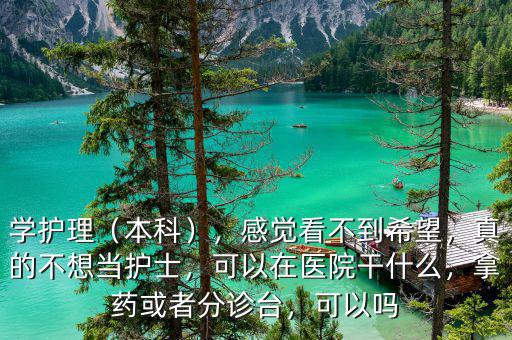 學(xué)護(hù)理（本科），感覺(jué)看不到希望，真的不想當(dāng)護(hù)士，可以在醫(yī)院干什么，拿藥或者分診臺(tái)，可以嗎