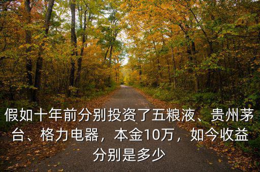 假如十年前分別投資了五糧液、貴州茅臺(tái)、格力電器，本金10萬，如今收益分別是多少