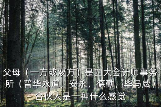 父母（一方或雙方）是四大會計師事務(wù)所（普華永道，安永，德勤，畢馬威）合伙人是一種什么感覺