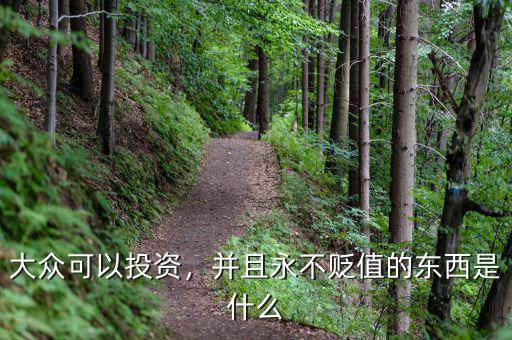 大眾可以投資，并且永不貶值的東西是什么