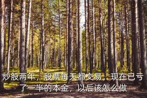 炒股兩年，股票每天都交易，現(xiàn)在已虧了一半的本金，以后該怎么做