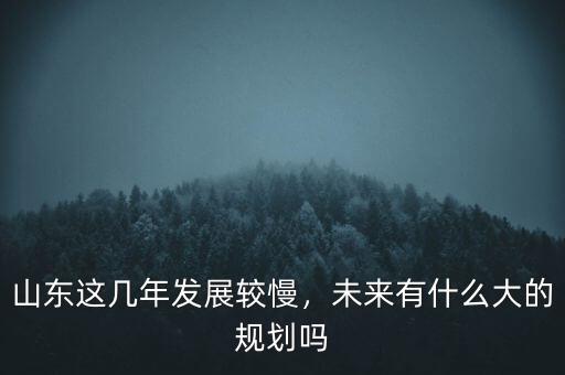 山東這幾年發(fā)展較慢，未來有什么大的規(guī)劃嗎