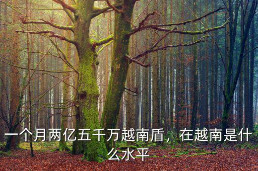 一個(gè)月兩億五千萬(wàn)越南盾，在越南是什么水平