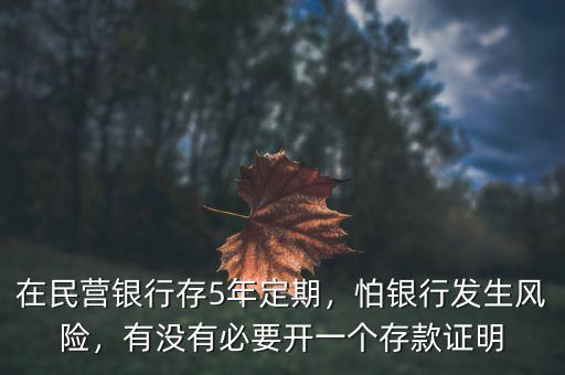 在民營(yíng)銀行存5年定期，怕銀行發(fā)生風(fēng)險(xiǎn)，有沒(méi)有必要開(kāi)一個(gè)存款證明