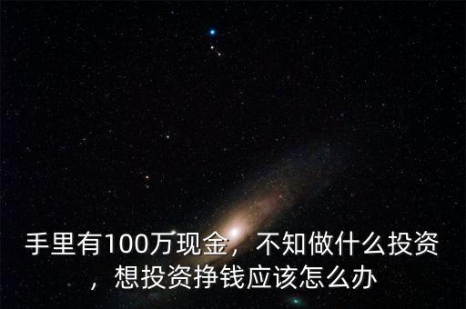 手里有100萬現(xiàn)金，不知做什么投資，想投資掙錢應(yīng)該怎么辦