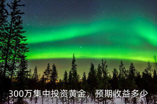 300萬集中投資黃金，預(yù)期收益多少