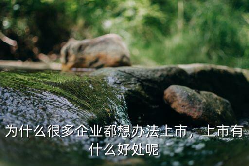 為什么很多企業(yè)都想辦法上市，上市有什么好處呢