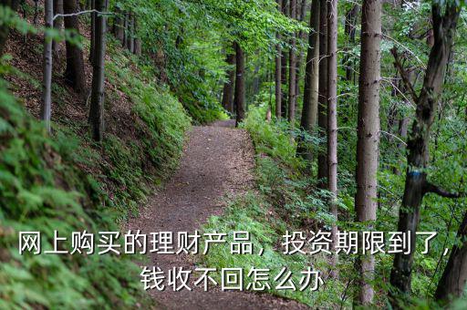 網(wǎng)上購買的理財(cái)產(chǎn)品，投資期限到了，錢收不回怎么辦