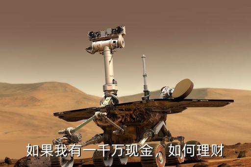 如果我有一千萬現(xiàn)金，如何理財(cái)