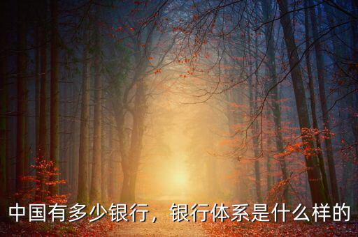 中國(guó)有多少銀行，銀行體系是什么樣的