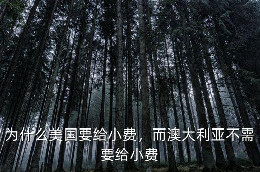 為什么美國要給小費，而澳大利亞不需要給小費
