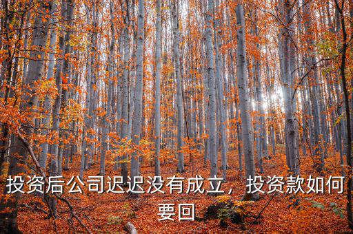 投資后公司遲遲沒有成立，投資款如何要回