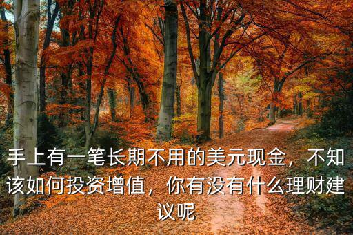 手上有一筆長期不用的美元現(xiàn)金，不知該如何投資增值，你有沒有什么理財建議呢