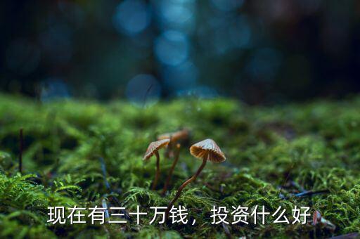 現(xiàn)在有三十萬(wàn)錢(qián)，投資什么好