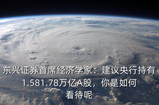 東興證券首席經(jīng)濟(jì)學(xué)家：建議央行持有1.581.78萬億A股，你是如何看待呢