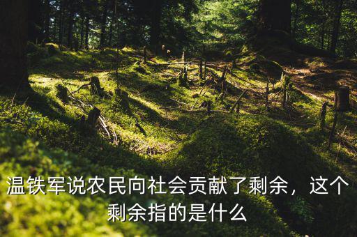 溫鐵軍說農民向社會貢獻了剩余，這個剩余指的是什么