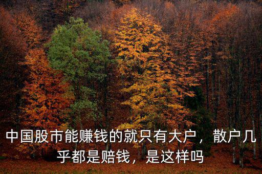 中國股市能賺錢的就只有大戶，散戶幾乎都是賠錢，是這樣嗎