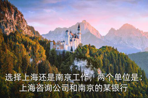 選擇上海還是南京工作，兩個(gè)單位是：上海咨詢公司和南京的某銀行