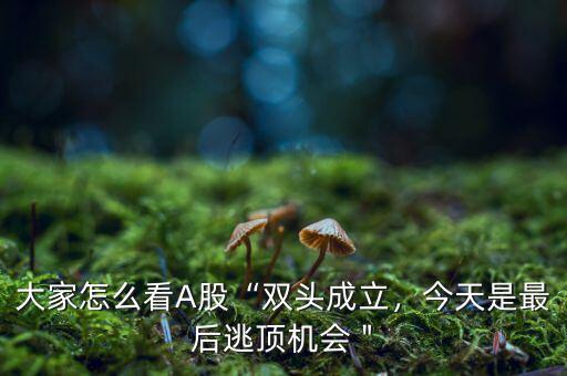 大家怎么看A股“雙頭成立，今天是最后逃頂機會＂