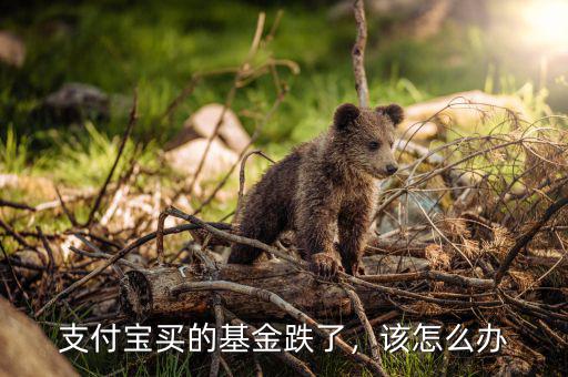 支付寶買的基金跌了，該怎么辦