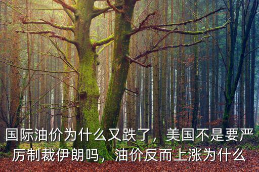國際油價(jià)為什么又跌了，美國不是要嚴(yán)厲制裁伊朗嗎，油價(jià)反而上漲為什么
