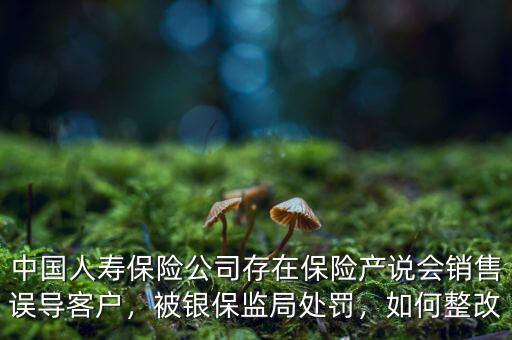 中國人壽保險公司存在保險產(chǎn)說會銷售誤導(dǎo)客戶，被銀保監(jiān)局處罰，如何整改