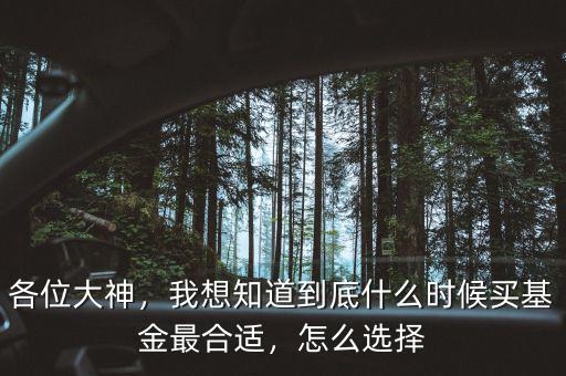 各位大神，我想知道到底什么時(shí)候買基金最合適，怎么選擇