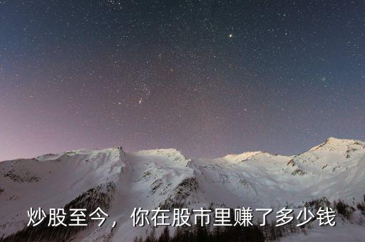 炒股至今，你在股市里賺了多少錢