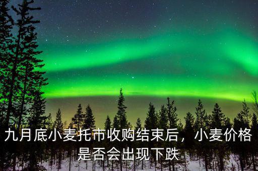 九月底小麥托市收購結(jié)束后，小麥價(jià)格是否會(huì)出現(xiàn)下跌