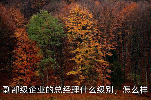 副部級企業(yè)的總經(jīng)理什么級別，怎么樣