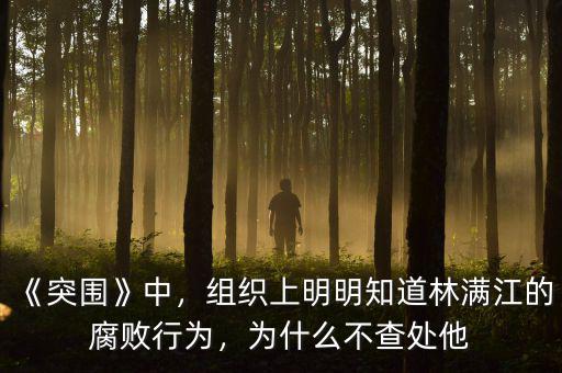 《突圍》中，組織上明明知道林滿江的腐敗行為，為什么不查處他