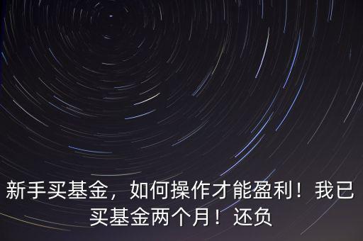 新手買基金，如何操作才能盈利！我已買基金兩個(gè)月！還負(fù)
