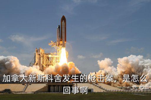 加拿大新斯科舍發(fā)生的槍擊案，是怎么回事啊