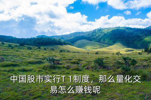 中國股市實行T 1制度，那么量化交易怎么賺錢呢