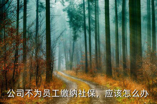 公司不為員工繳納社保，應(yīng)該怎么辦