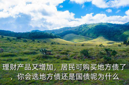 理財產(chǎn)品又增加，居民可購買地方債了，你會選地方債還是國債呢為什么
