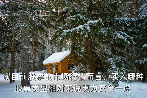 就目前股票的市場行情而言，買入哪種股票類型相對來說更為安全一點