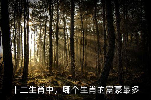 十二生肖中，哪個(gè)生肖的富豪最多