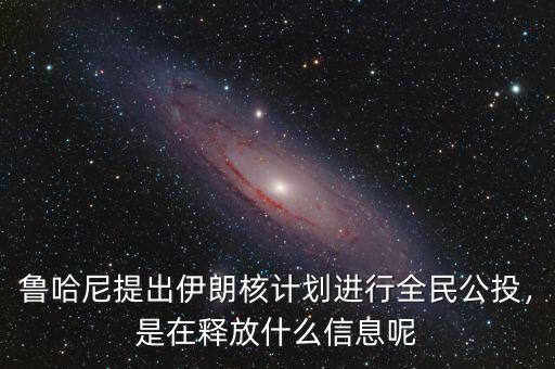 魯哈尼提出伊朗核計劃進行全民公投，是在釋放什么信息呢