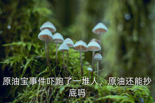 原油寶事件嚇跑了一堆人，原油還能抄底嗎