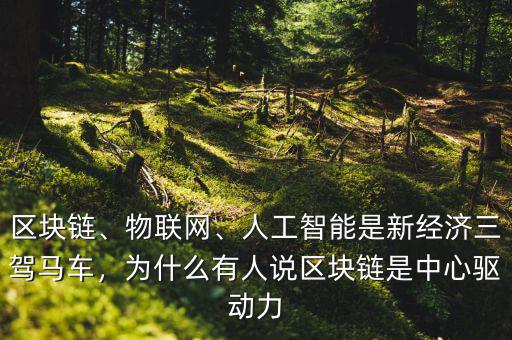 區(qū)塊鏈、物聯(lián)網(wǎng)、人工智能是新經(jīng)濟(jì)三駕馬車(chē)，為什么有人說(shuō)區(qū)塊鏈?zhǔn)侵行尿?qū)動(dòng)力