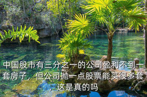 中國(guó)股市有三分之一的公司盈利不到一套房子，但公司拋一點(diǎn)股票能買很多套，這是真的嗎