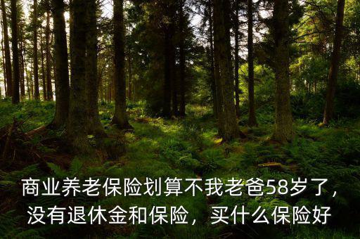 商業(yè)養(yǎng)老保險(xiǎn)劃算不我老爸58歲了，沒有退休金和保險(xiǎn)，買什么保險(xiǎn)好