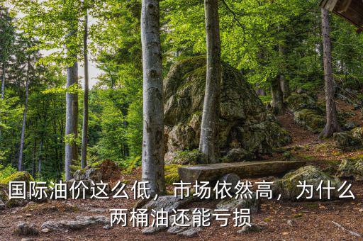 國際油價這么低，市場依然高，為什么兩桶油還能虧損