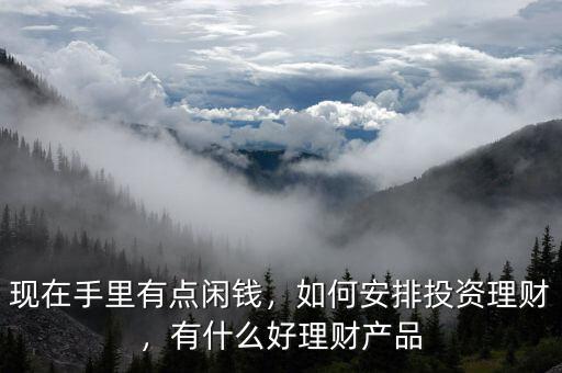 現(xiàn)在手里有點閑錢，如何安排投資理財，有什么好理財產(chǎn)品