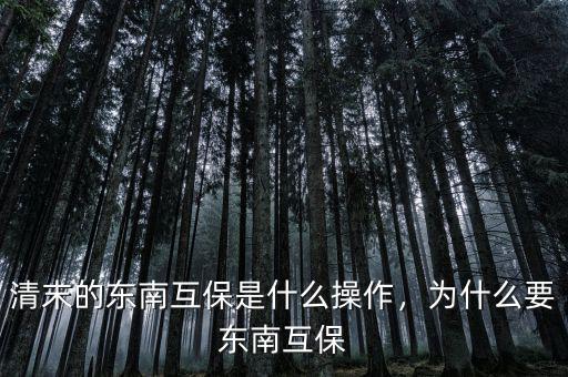 清末的東南互保是什么操作，為什么要東南互保