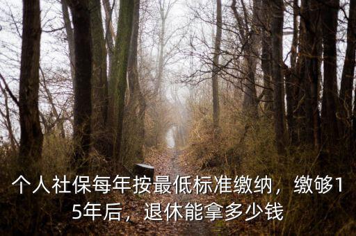 個人社保每年按最低標準繳納，繳夠15年后，退休能拿多少錢