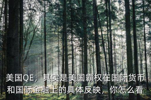 美國QE，其實是美國霸權(quán)在國際貨幣和國際金融上的具體反映，你怎么看
