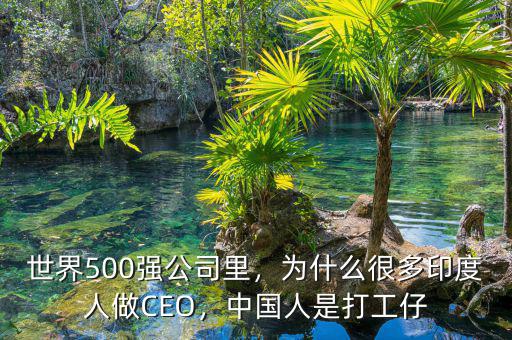 世界500強公司里，為什么很多印度人做CEO，中國人是打工仔