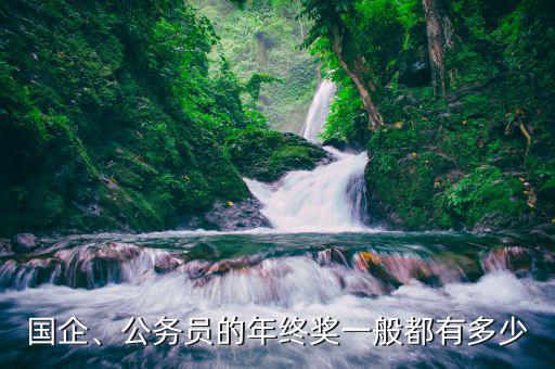 國企、公務(wù)員的年終獎(jiǎng)一般都有多少